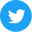 twitter-icon
